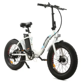 Ecotric Dolphin 36V/12.5Ah 500W UL Certified Folding Fat Tire Electric Bike