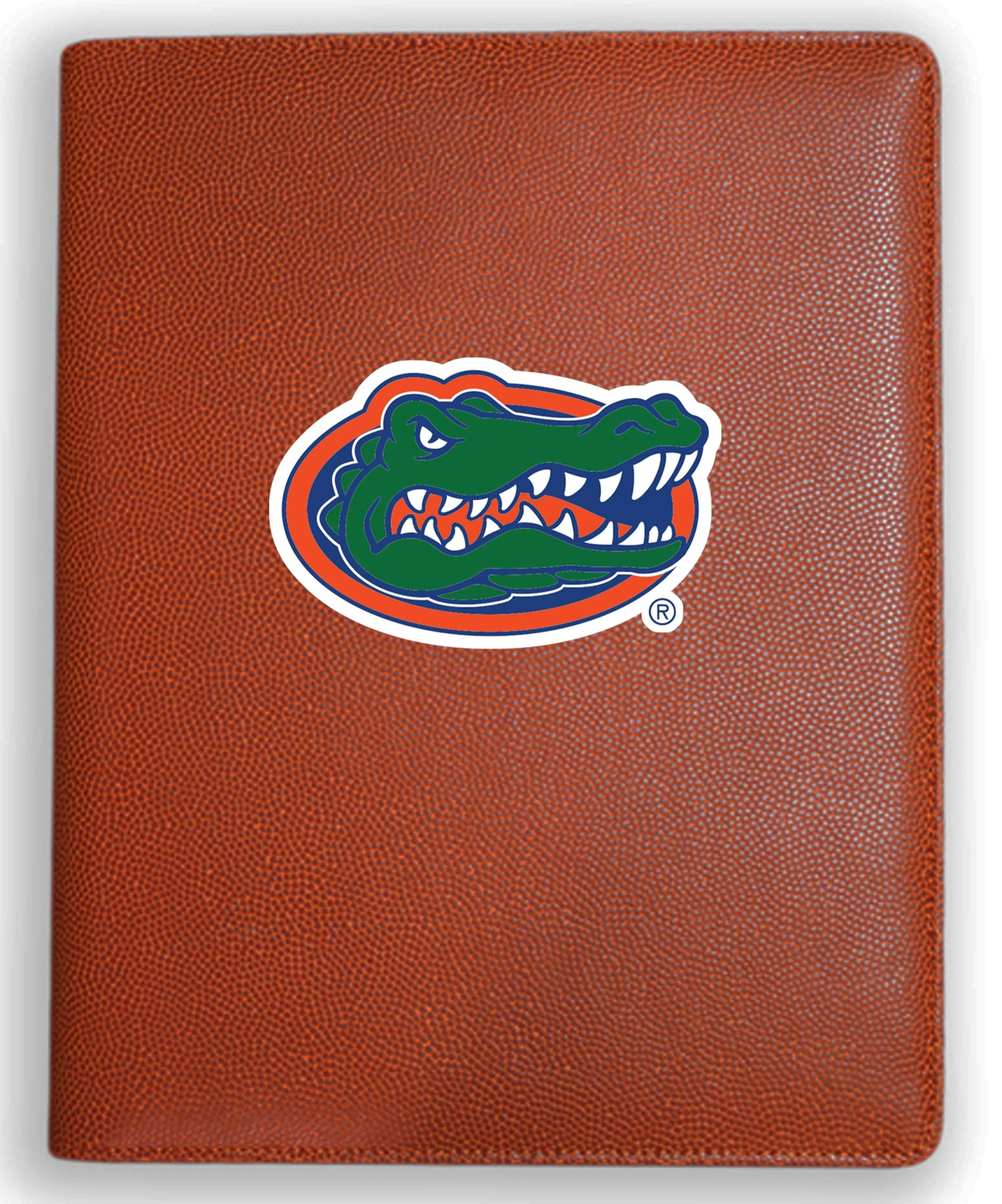 Florida Gators Basketball Portfolio