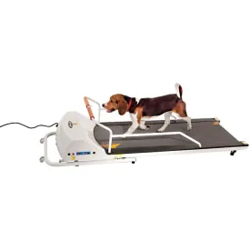 GoPet Petrun PR720F Treadmill for Dogs up to 132 lbs