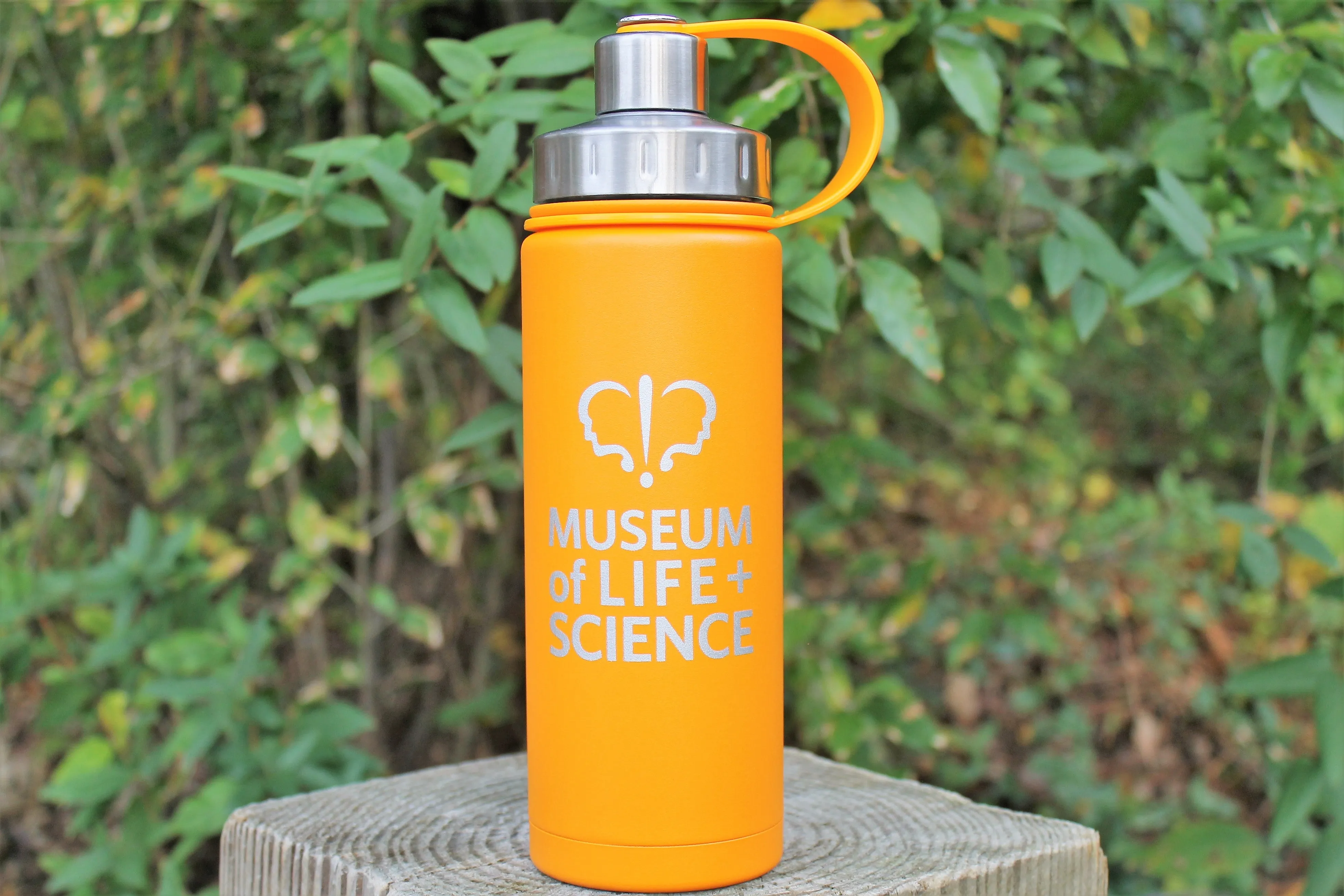 Insulated Water Bottle