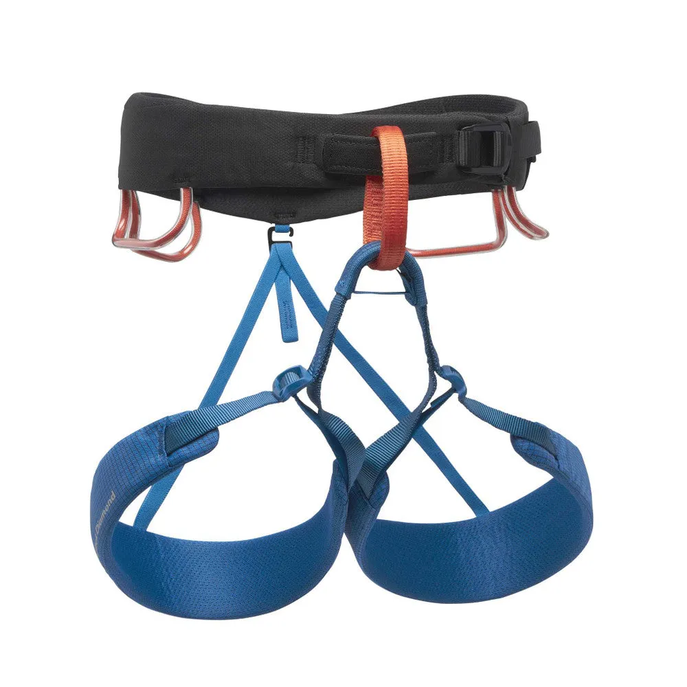 M Momentum Harness S24 Kingfisher