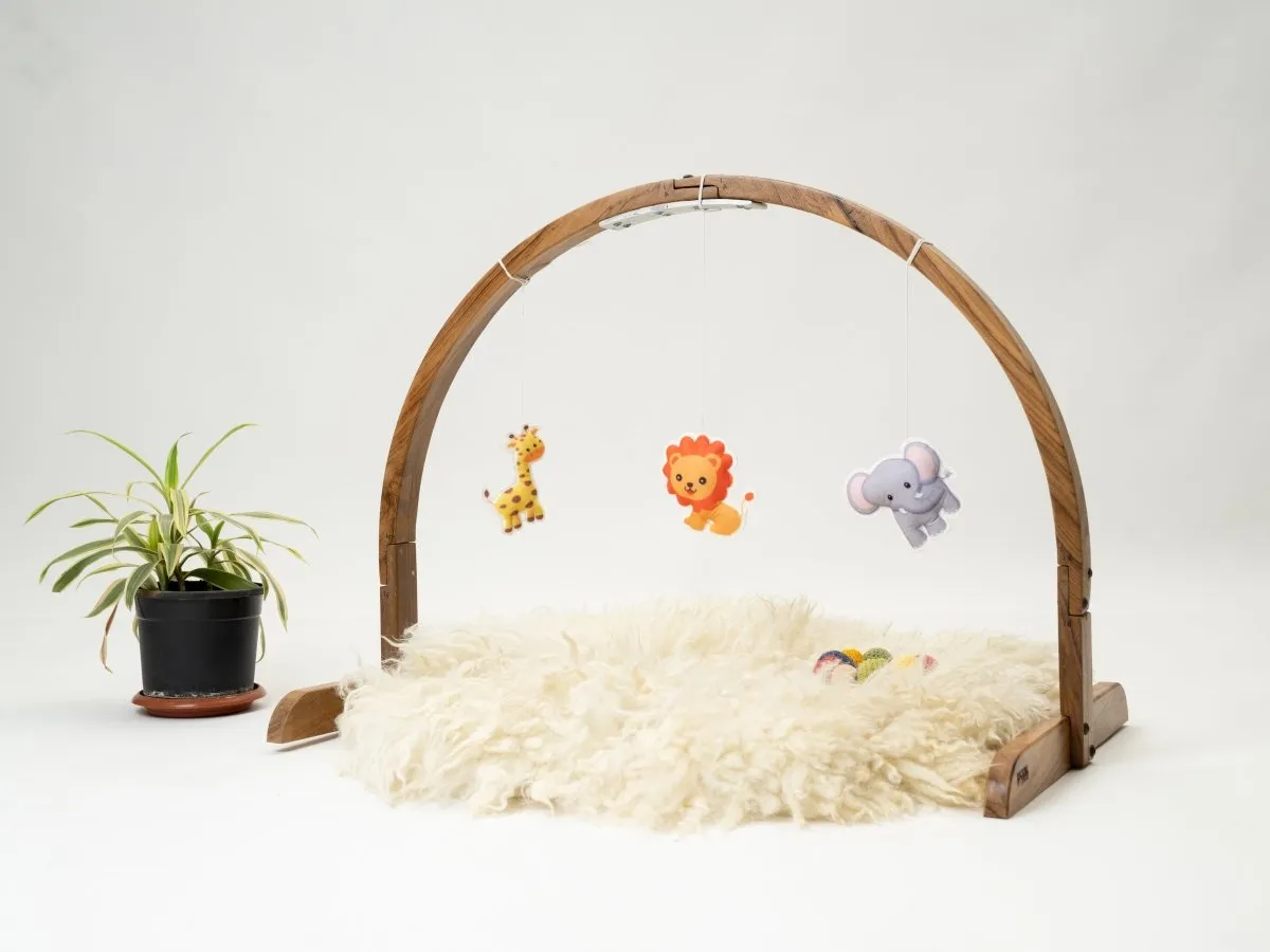 Rocking Potato Arch Baby Activity Gym- Felt Anmals