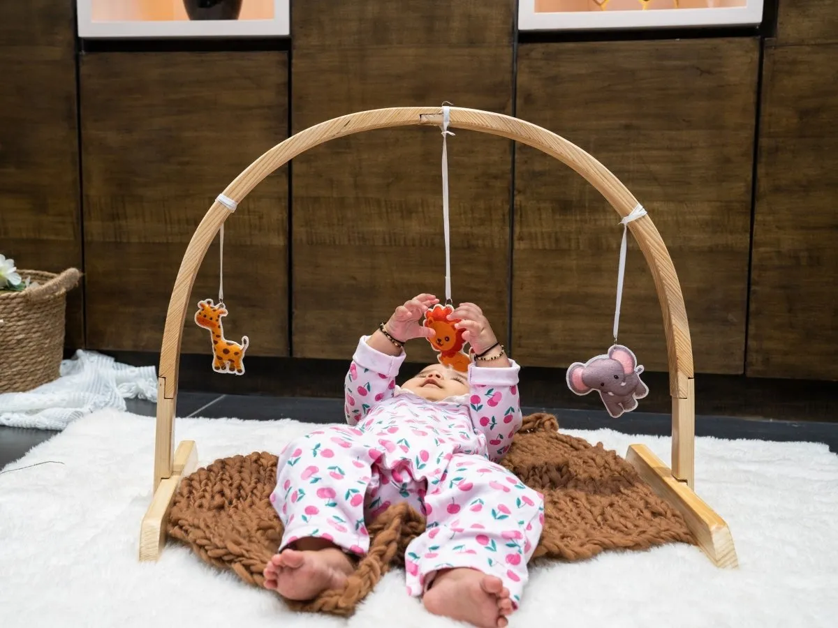 Rocking Potato Arch Baby Activity Gym- Felt Anmals